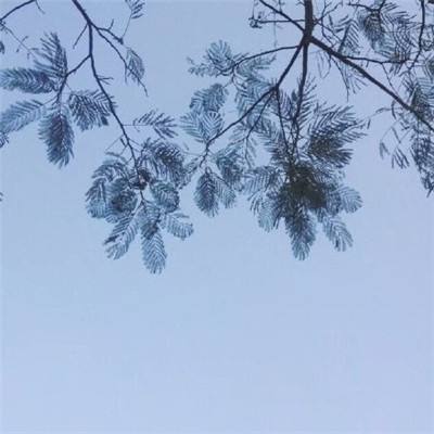 逃离双塔湾手游下载