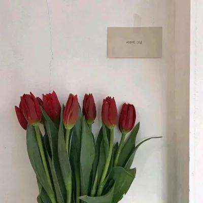 你好呀勇士福利版下载